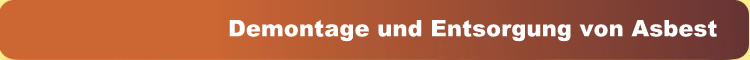 Demontae und Entsorgung von Asbest